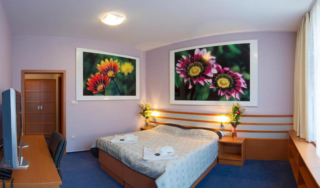 Hotel Air Holíč Cameră foto